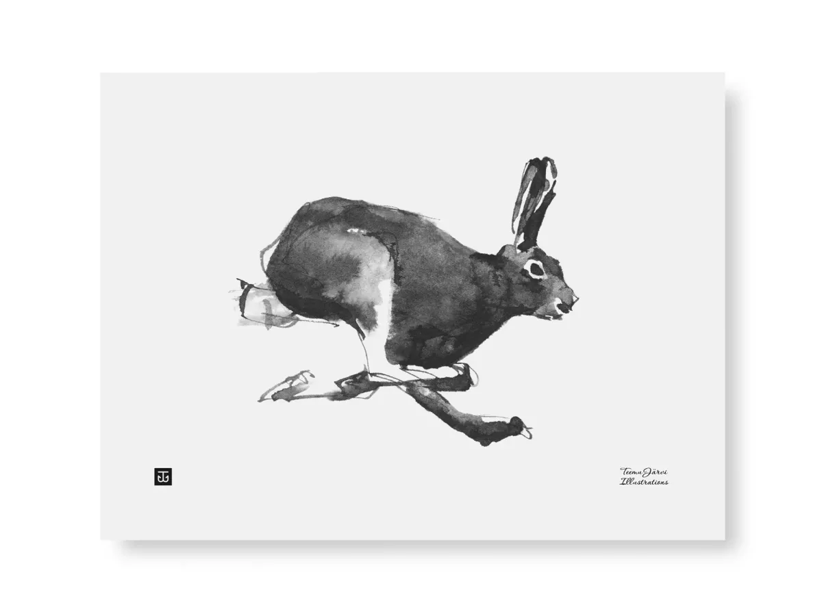 Julisteet/printit>Teemu Järvi Illustrations Jänis - juliste