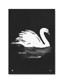 Julisteet/printit>Teemu Järvi Illustrations Joutsen - juliste (50 x 70cm)