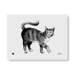 Julisteet/printit>Teemu Järvi Illustrations Kissa - juliste 40x30cm