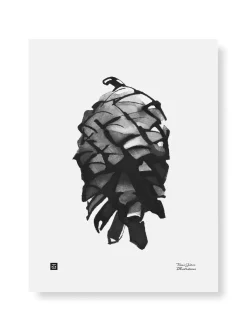 Julisteet/printit>Teemu Järvi Illustrations Käpy - juliste (30 x 40cm)