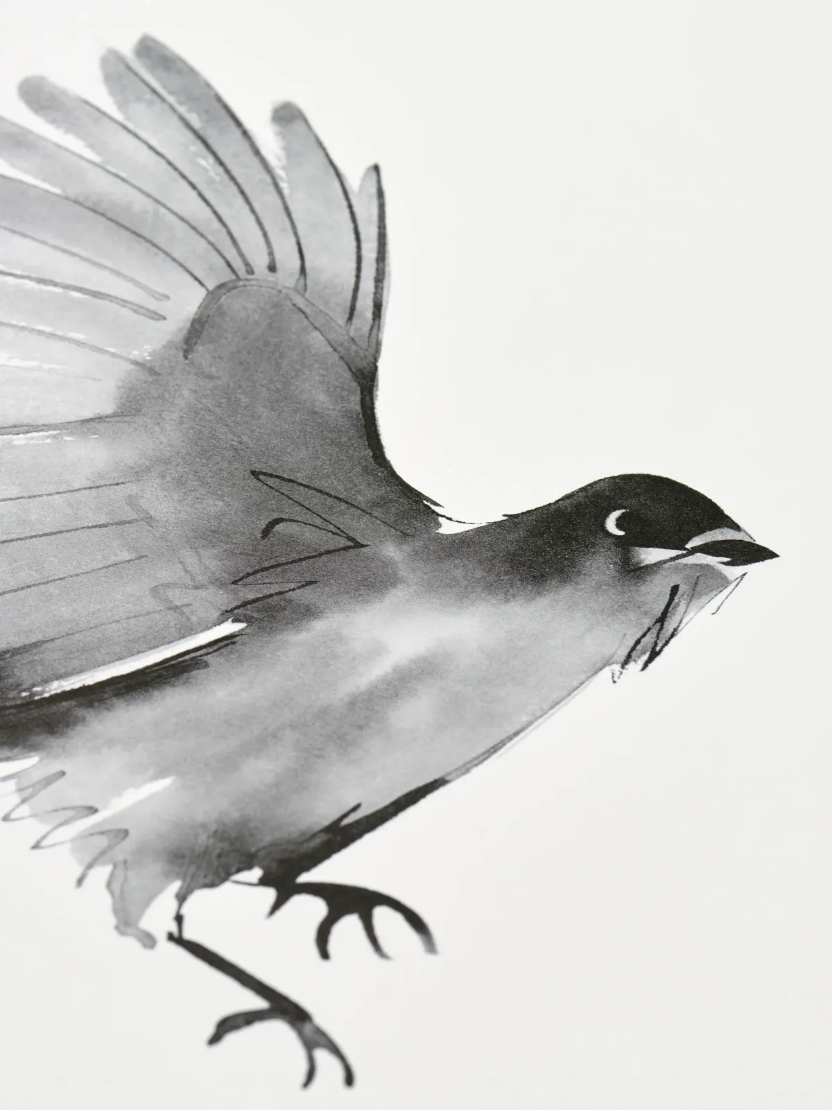 Julisteet/printit>Teemu Järvi Illustrations Kuukkeli - juliste (30 x 40cm)