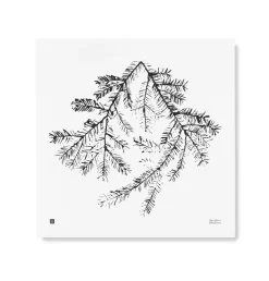 Julisteet/printit>Teemu Järvi Illustrations Kuusenoksa - juliste (50 x 50cm)