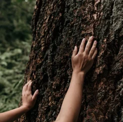 Saippuat & Luonnonkosmetiikka>Moi Forest - After Care Hand Cream
