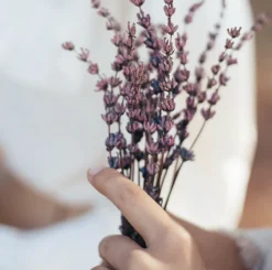 Saippuat & Luonnonkosmetiikka>Moi Forest - Lavender After Care Hand Cream