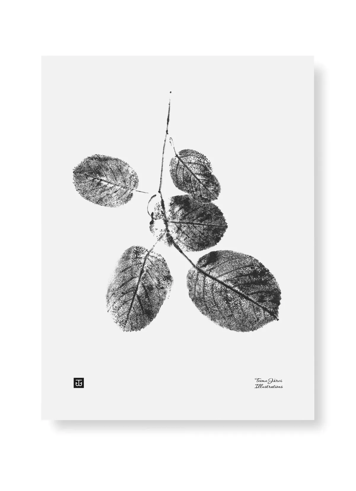 Julisteet/printit>Teemu Järvi Illustrations Raitapuun oksa - juliste 30cm x 40cm