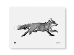 Julisteet/printit>Teemu Järvi Illustrations Seikkaileva Kettu - juliste (40 x 30cm)