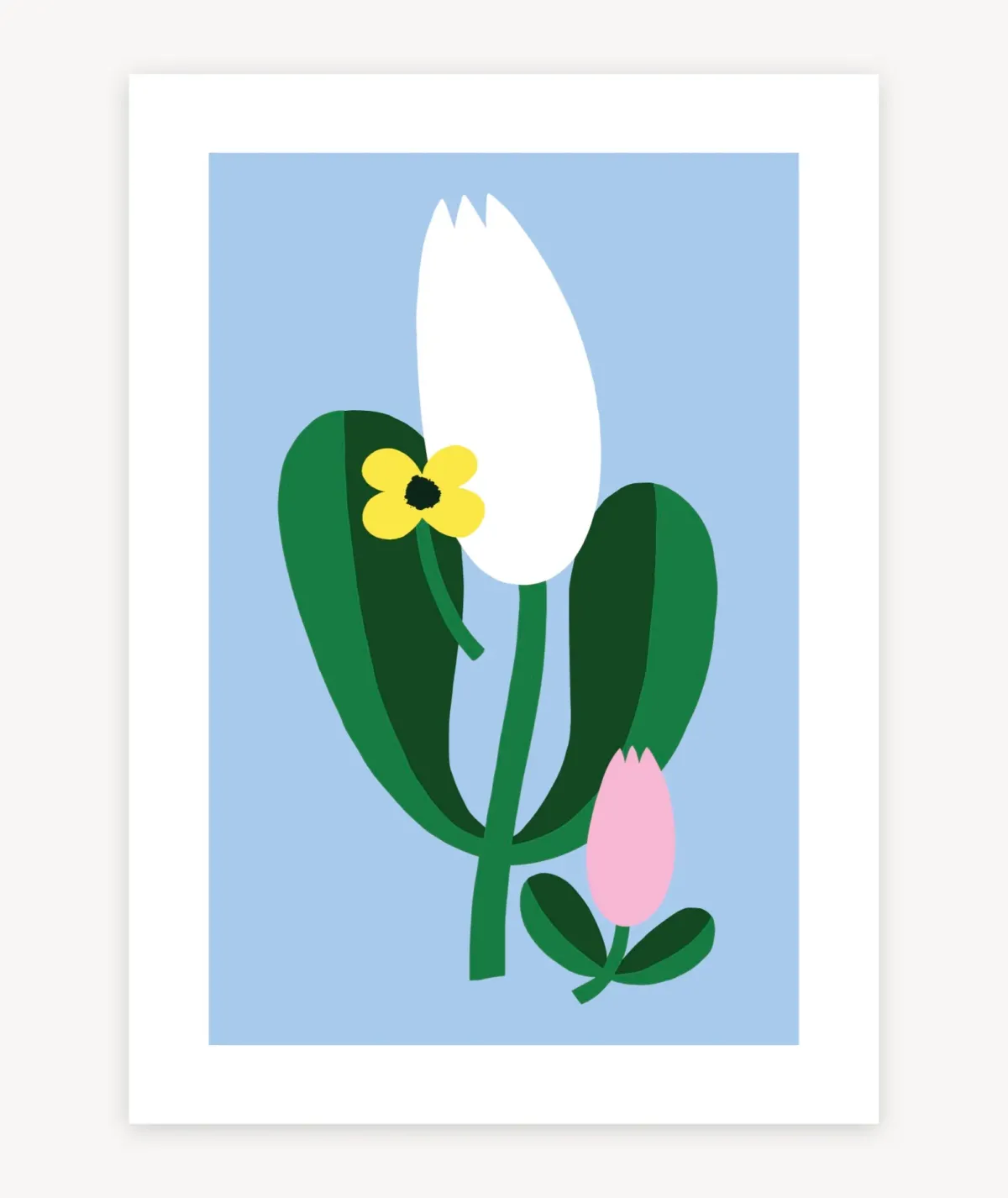Julisteet/printit>Lotta Maija Tulip Juliste - A4